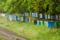 Apiary Royalty Free Stock Photo