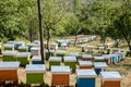 Field full of colorful wooden beehives. Royalty Free Stock Photo