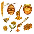 Apiculture honey and bee, honeycomb and hive,spoon