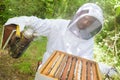 Apiculturist smoking the bees Royalty Free Stock Photo