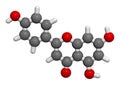 Apigenin yellow herbal dye molecule. 3D rendering. Atoms are represented as spheres with conventional color coding: hydrogen (