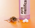 Apis Mellifica homeopathic medication and bee Royalty Free Stock Photo