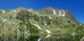 Apline green mountain valley in Chamonix Royalty Free Stock Photo