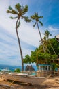 Apo island, Philippines, view on island beach line. Palm trees, rocks, sea and boats.