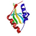 Apo toxin of Helicobacter pylori