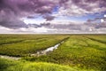 Apocalyptic storm in a cloudy day on a dutch meadow behind the d