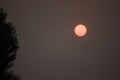 Apocalyptic sun in a dismally smoky gray sky