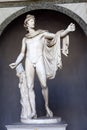 Apollo Belvedere statue in Vatican museum on May 24, 2011 in Vatican, Rome, Italy