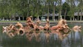 Apollo fountain in Versailles Royalty Free Stock Photo