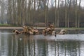 Apollo fountain in Versailles gardens, Paris, France Royalty Free Stock Photo