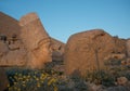 Apollo and Ptah Gods on Nemrut Dag Royalty Free Stock Photo