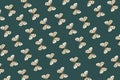 Apolo butterfly, Parnassius apollo pattern on  tidewater green background Royalty Free Stock Photo