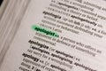 Apologist word or phrase in a dictionary Royalty Free Stock Photo