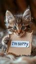 Apology in Eyes: An Adorable Kitten Holding an \'I\'m Sorry\' Sign