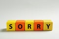 Apology. Word Sorry made of colorful cubes on light background. Space for text