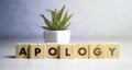 Apology - word from wooden blocks with letters, sorry concept, random letters around, white background. Royalty Free Stock Photo