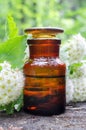 Apothecary bottle and Hawthorn flowers. Herbal medicine. Royalty Free Stock Photo