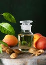 Apothecary glass of apricot kernel oil with apricot kernels and ripe apricots on a rustic wooden table. Royalty Free Stock Photo