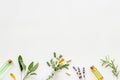 Apothecary of natural wellness and self-care. Herbs and medicine on white background top view frame copy space Royalty Free Stock Photo