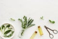 Apothecary of natural wellness and self-care. Herbs and medicine on white background top view frame copy space Royalty Free Stock Photo