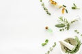 Apothecary of natural wellness and self-care. Herbs and medicine on white background top view frame copy space Royalty Free Stock Photo
