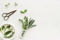 Apothecary of natural wellness and self-care. Herbs and medicine on white background top view frame copy space Royalty Free Stock Photo