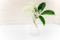 Apothecary test tube with a sample of elderberry flower for the manufacture of non-traditional phytomedicine