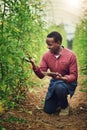 This app helps me through the whole process. a handsome young male farmer using a tablet while checking his crops.