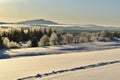 The Appalachian forest after an ice storm Royalty Free Stock Photo