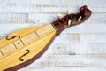 Appalachian mountain dulcimer musical instrument on a rustic white wooden background
