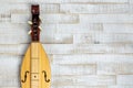 Appalachian mountain dulcimer musical instrument on a rustic white wooden background