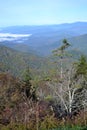 Appalachian Mountain Scene-11