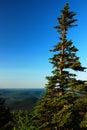 Appalachian Summit Royalty Free Stock Photo