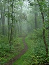 Appalachian Trail