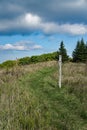 Appalachian Trail on Apple Orchard Mountain