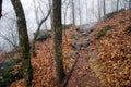 Appalachian Trail Big Cedar Mountain Path Royalty Free Stock Photo