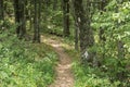 Appalachian Trail in the Blue Ridge Mountains