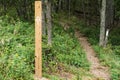 Appalachian Trail on the Blue Ridge Parkway - 2