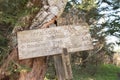 Appalachian Trail Distance Sign Leans Against Tree
