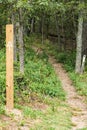 Appalachian Trail in the Forest