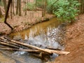 Appalachian Trail in Georgia Royalty Free Stock Photo