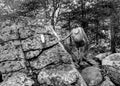 Appalachian Trail Hiker over Boulders