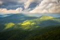 Appalachian Trail at Roan Mountain State Park Royalty Free Stock Photo