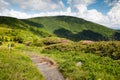 Appalachian Trail Roan Mountain TN and NC Royalty Free Stock Photo