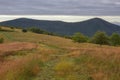 Appalachian Trail Scenery atop Cole Mountain, Virginia Royalty Free Stock Photo