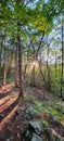 Appalachian Trail Sunset View