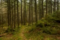 Appalachian Trail on Whitetop mountain in Virginia