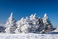 Appalachian Trail Winter Hike Royalty Free Stock Photo