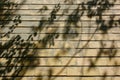 Apparent brick exterior wall with shadows of tree leafy branches on it