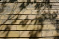 Apparent brick exterior wall with shadows of tree leafy branches on it